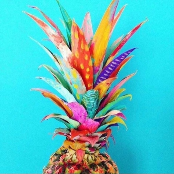 Handbags - Picture 2 of 16